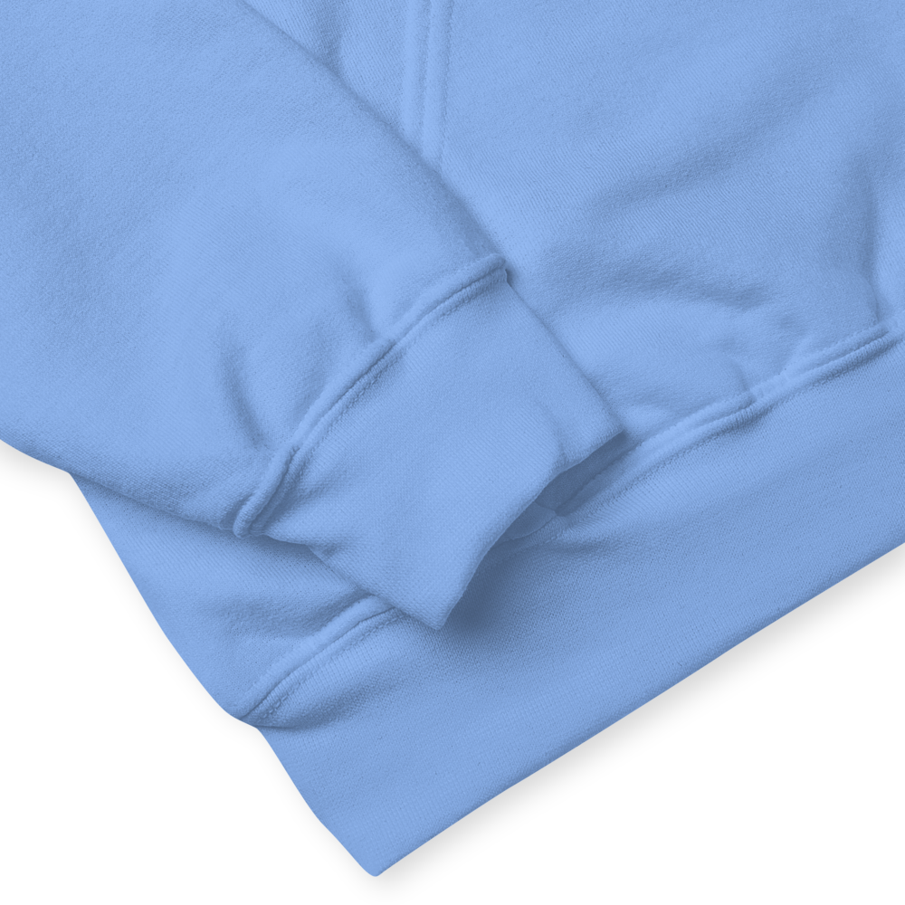 Porsche 964 Light Blue Hoodie Unisex